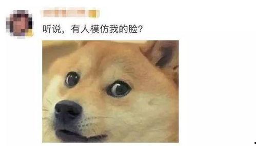 微信表情吃瓜是什么意思啊,揭秘微信表情“吃瓜”背后的含义与流行文化